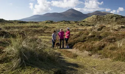 Walkers and a dog on a dune path through Murlough Nature Reserve